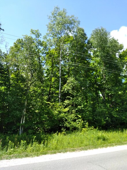 0 Pineview Dr Unit Lot 527 201820527, Mancelona, MI 49659