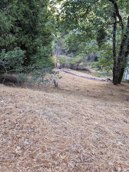 0 S Edelweiss Dr Unit CV25196067, Crestline, CA 92325