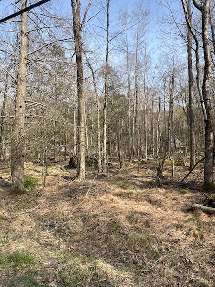lot 814 White Pine Dr, Locust Lake Village, PA 18347