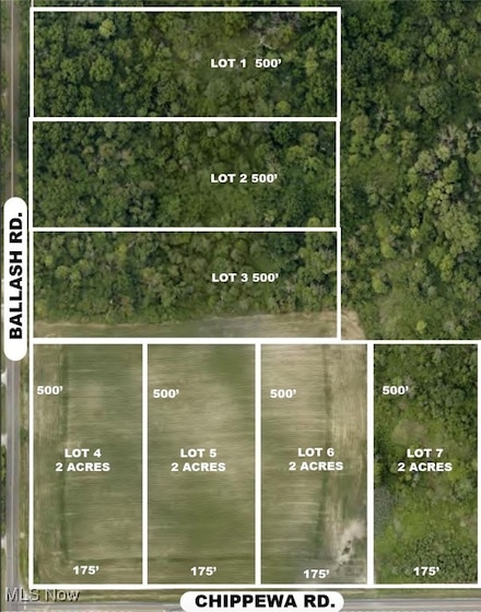 Lot #1 Ballash Rd, Chippewa Lake, OH 44215