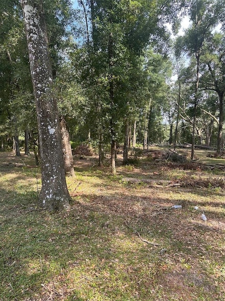 TBD SW 111th Ln, Dunnellon, FL 34432