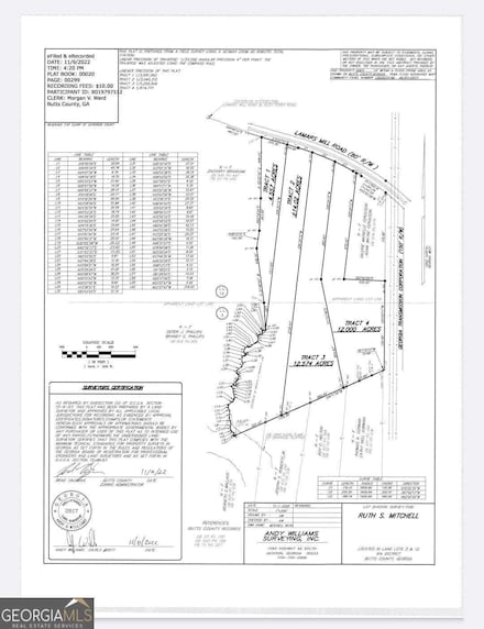 14 AC TRACT#2 Lamars Mill Rd, Flovilla, GA 30216