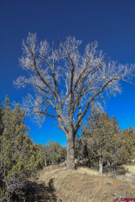 17580 Highway 151, Arboles, CO 81121