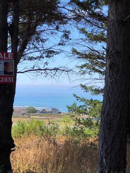 36 Bambi Dr, Shelter Cove, CA 95589