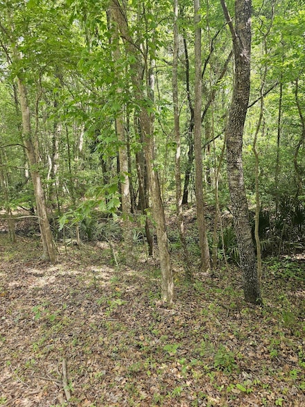 3910 Benjamin Rd, Johns Island, SC 29455