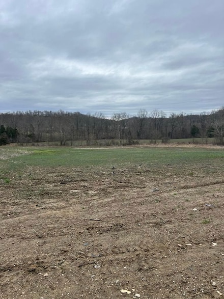 0 Cabin Creek Rd, Trinity, KY 41179