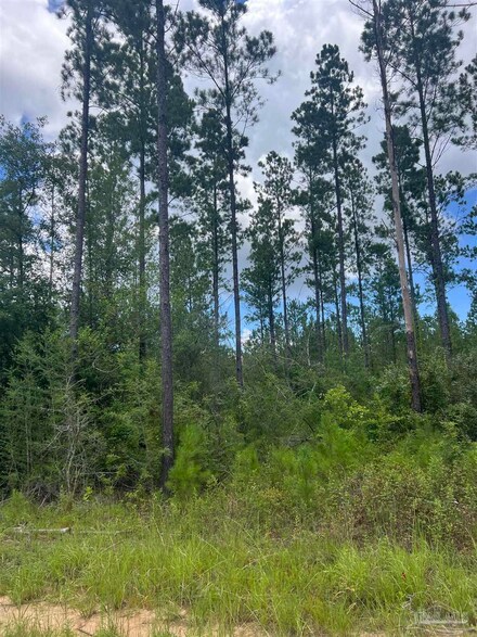 001 Sage Forest Ln, Milton, FL 32571