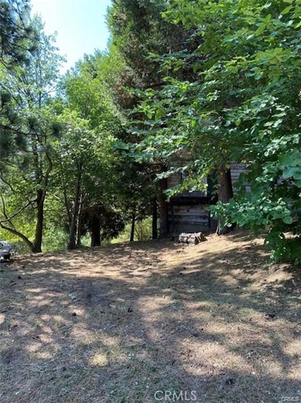 0 Pine Dr Unit OC24064068, Cedarpines Park, CA 92325