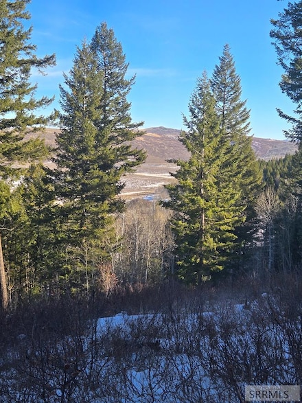TBD Long Valley Rd, Firth, ID 83236