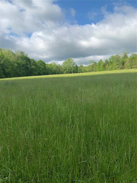 62 Box 48, Sedgewickville, MO 63781