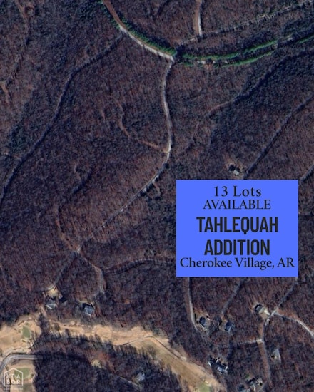 13 Oho Dr, Cherokee Village, AR 72529