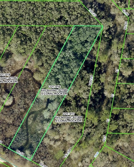 34063 Coral Rock Dr, Webster, FL 33597