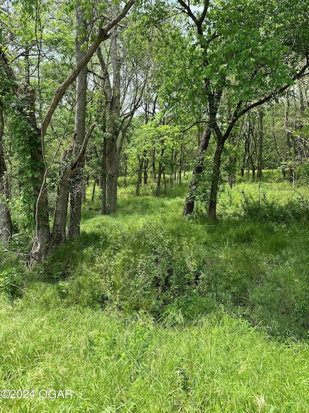 Xxx Mink Dr, Neosho, MO 64850
