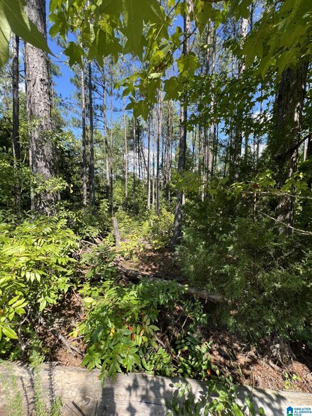 0 County Road 38 Unit Lot 2 21395516, Jemison, AL 35085