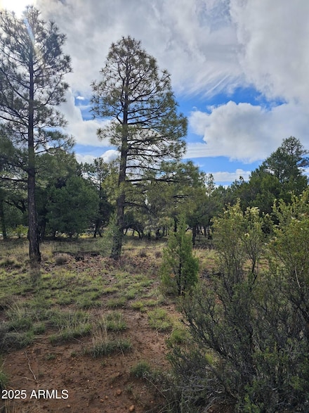 1454 Low Mountain Trail Unit 118, Heber, AZ 85928