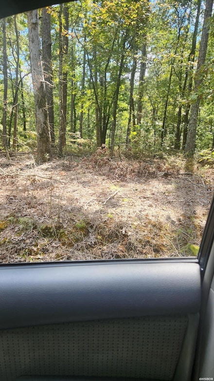 0 Gilmer Ln, Whittington Township, AR 71901