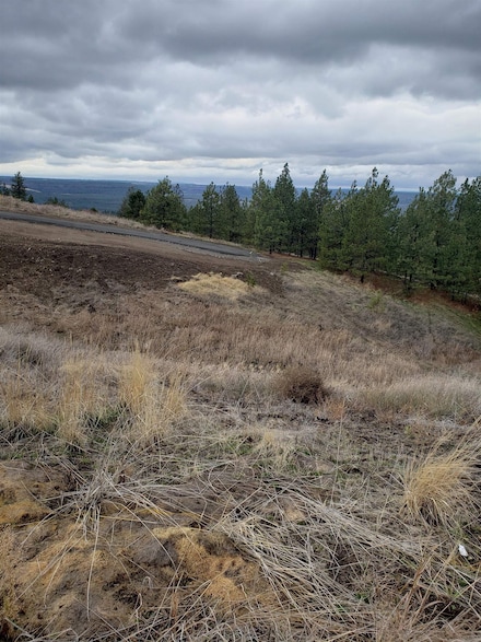 8907 N Rustle, Spokane, WA 99208