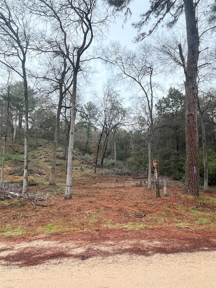 122 Helemano Dr, Bastrop, TX 78602