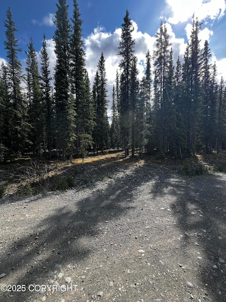 1H Alaska Hwy, Tok, AK 99780