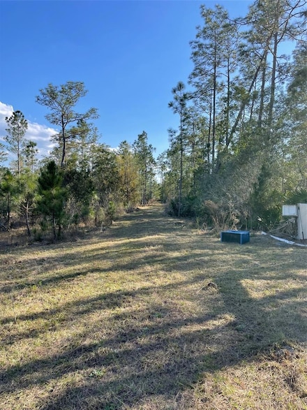 4685 Magnolia Rd, New Smyrna Beach, FL 32168