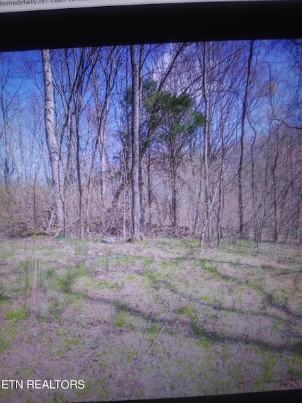 287 Edith Ln, Washburn, TN 37888