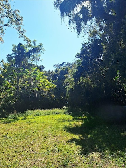 203 E 13th St, Apopka, FL 32703