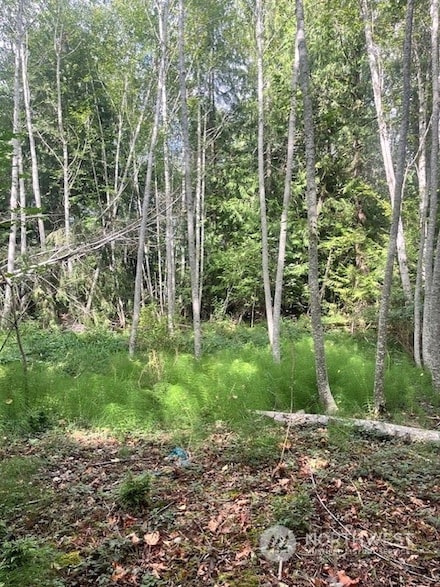 70 SE Lupine Place, Kamilche, WA 98584