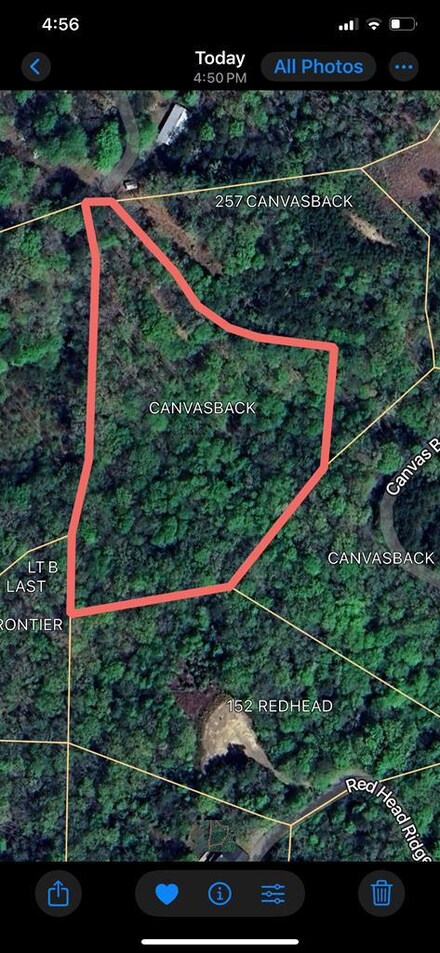 Lot 30 Canvas Back Ct, Whittier, NC 28789