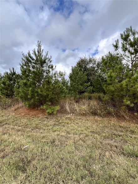 499 Cr 5017, Cleveland, TX 77327
