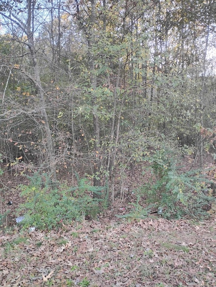7317 Mabelvale Pike, Little Rock, AR 72209