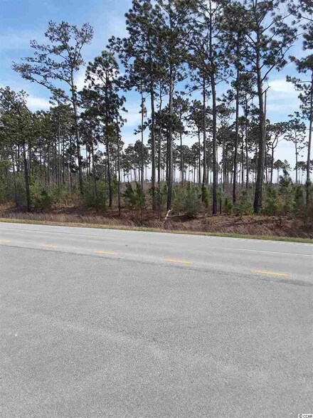 34.14 Acres Highway 17, McClellanville, SC 29458