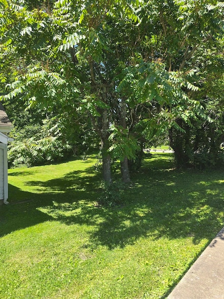 1127 W 11th St, Bloomington, IN 47404
