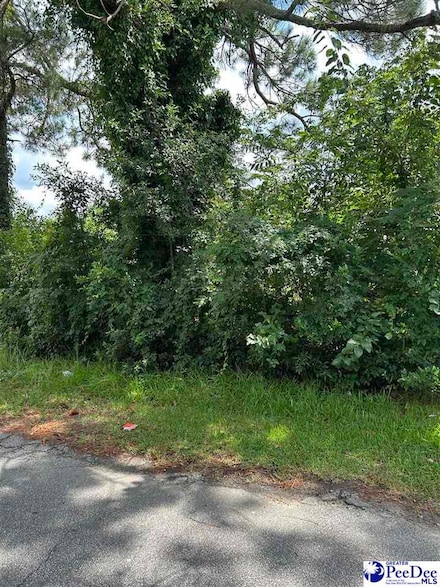 709 Ingram St, Florence, SC 29501