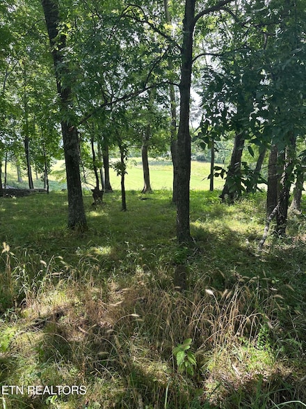 0 Walelu Trail, Vonore, TN 37885