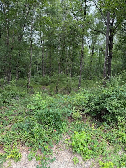 TBD Lot 20 Duck Island Rd Unit Duck Island Rd, Gresham, SC 29546