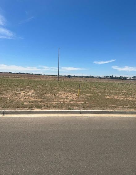 214 Joliet Ave, Levelland, TX 79336