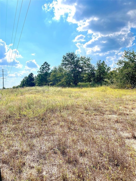 TBD Ponderosa Loop, Paige, TX 78659