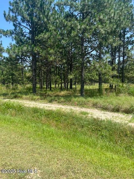 Lot C Shaver Ln, Jackson Springs, NC 27281