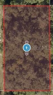 0 Elm St Unit MFRG5097120, Lady Lake, FL 32159
