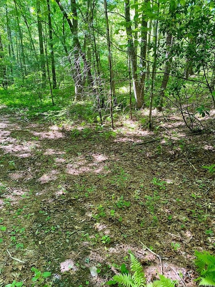 00, Robbinsville, NC 28771