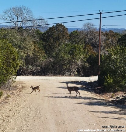 LOT 469 Topside Trail, Bandera, TX 78003