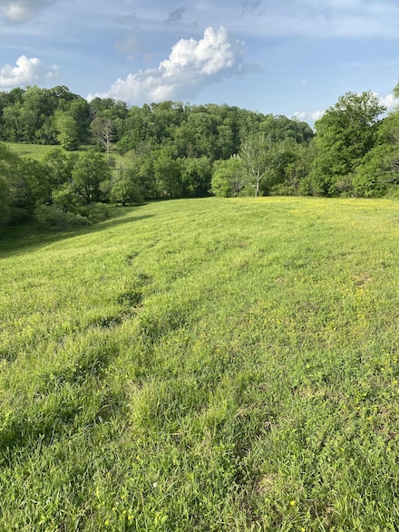 0 Ables Ln, Pulaski, TN 38478