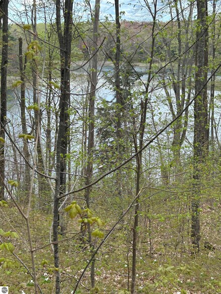 V/L Hardwood Dr, Alba, MI 49611