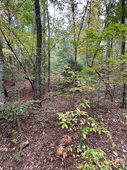 0 Goldfinch Ln Unit 153944, Murphy, NC 28906