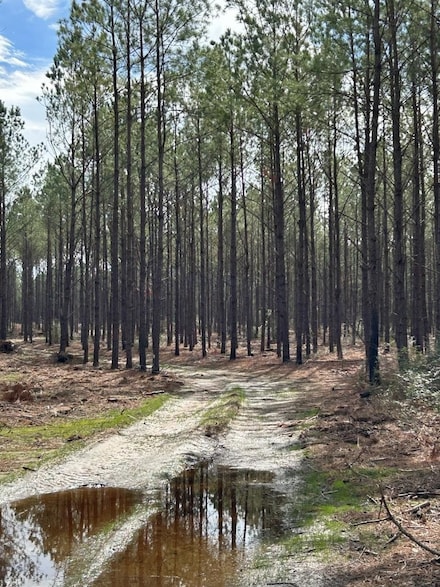 TRACT 7 Lloyd Walker Rd, Huntington, TX 75949