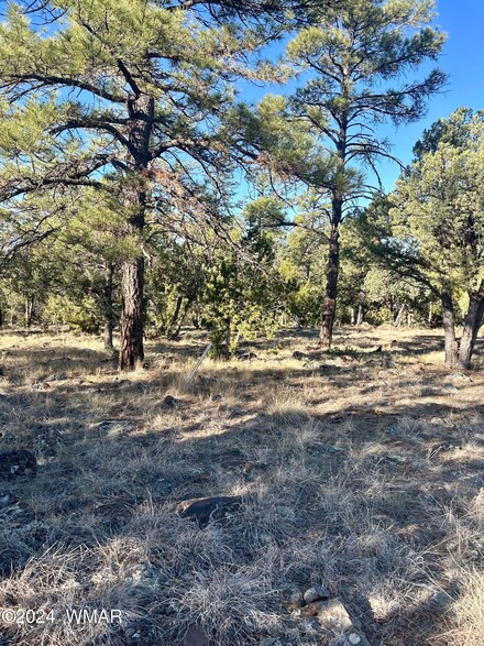 660 S Creekside Dr, Show Low, AZ 85901