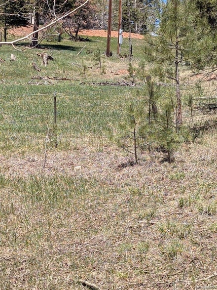 0 Ute Trail, Woodland Park, CO 80863