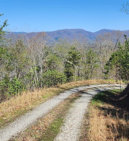 Lot 14 Lost Indian Trail, Whittier, NC 28789