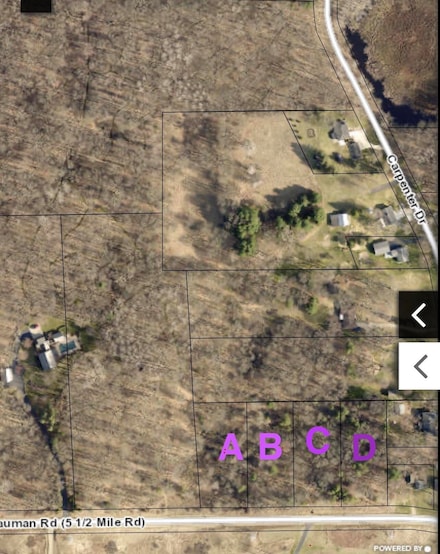 0 Bauman Rd Unit 25008505, Bedford Charter Township, MI 49017