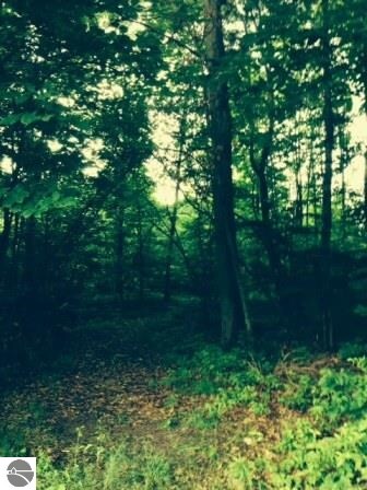TBD Crawford Rd, Mount Pleasant, MI 48858